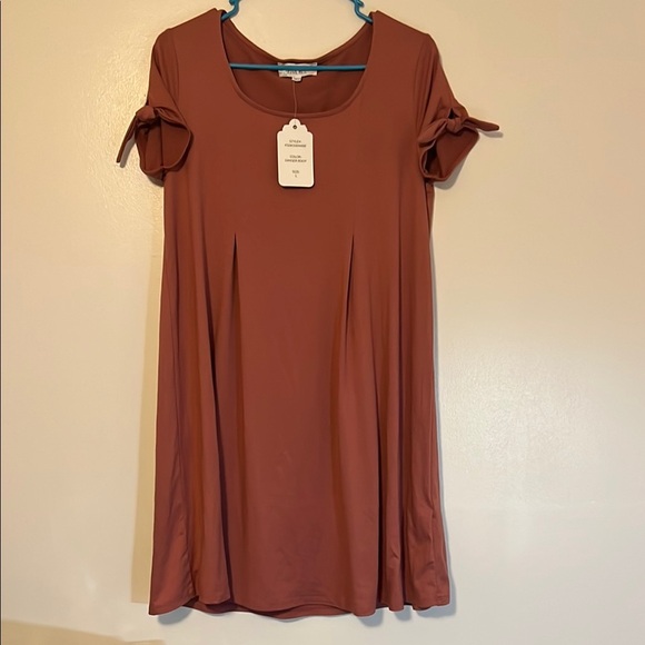 Pink Rose Rust Dress with Tie Sleeves size small. Color is ginger root. New - Picture 1 of 6